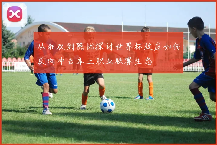 从狂欢到隐忧探讨世界杯效应如何反向冲击本土职业联赛生态