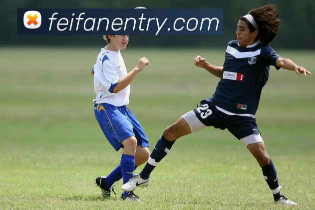 非凡体育发展历程