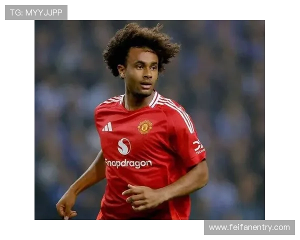 意甲球员对自己效力球队的真实英文采访汇总